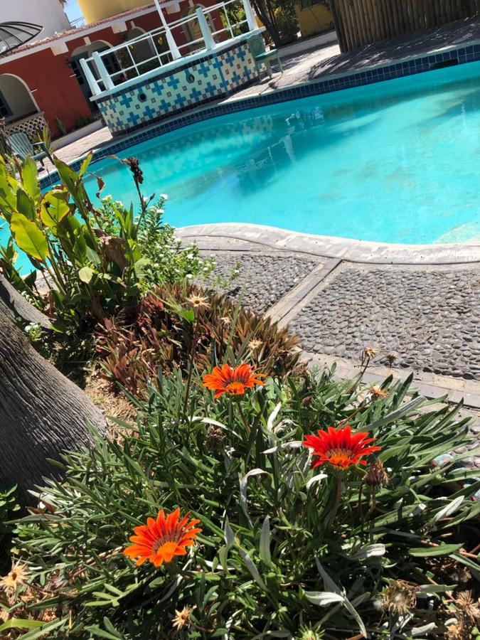 Hotel Calafia La Paz Kültér fotó